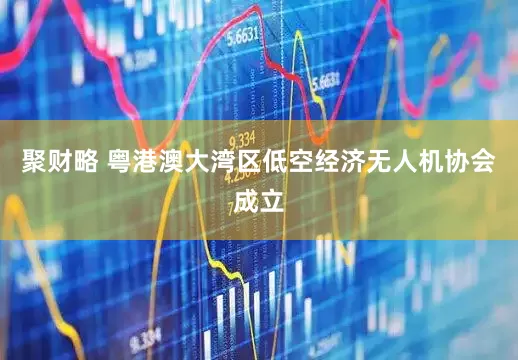 聚财略 粤港澳大湾区低空经济无人机协会成立