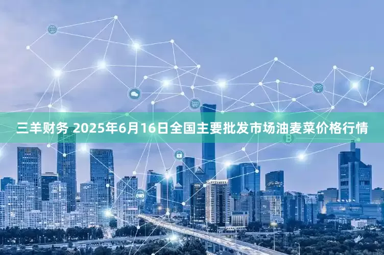 三羊财务 2025年6月16日全国主要批发市场油麦菜价格行情