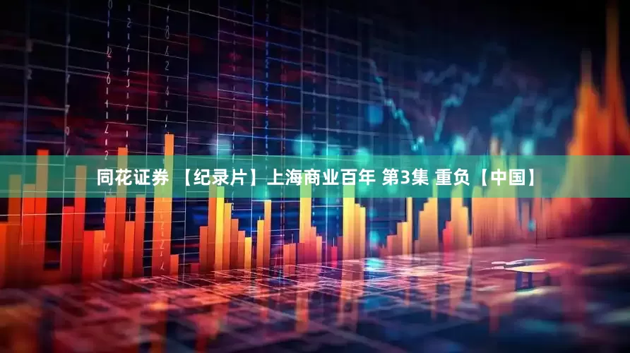 同花证券 【纪录片】上海商业百年 第3集 重负【中国】